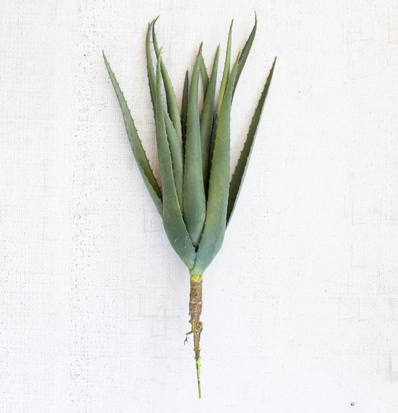 Aloe Stem*