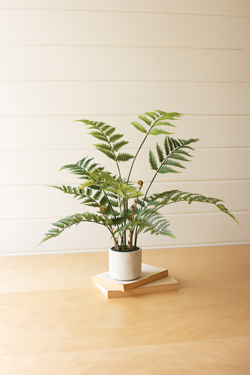 Artificial Fern in Cement Pot