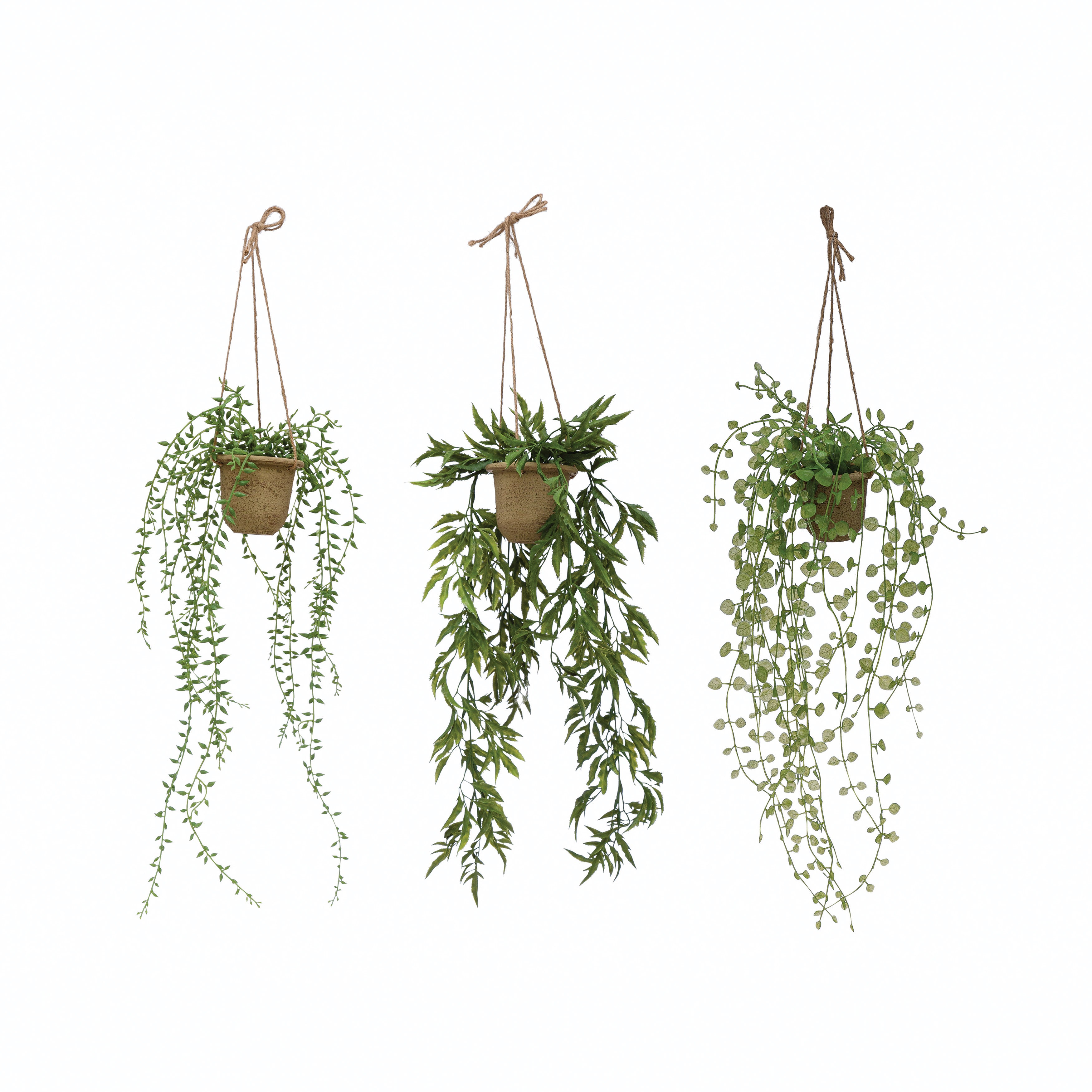 Hanging Succulent in Paper Maché Pot