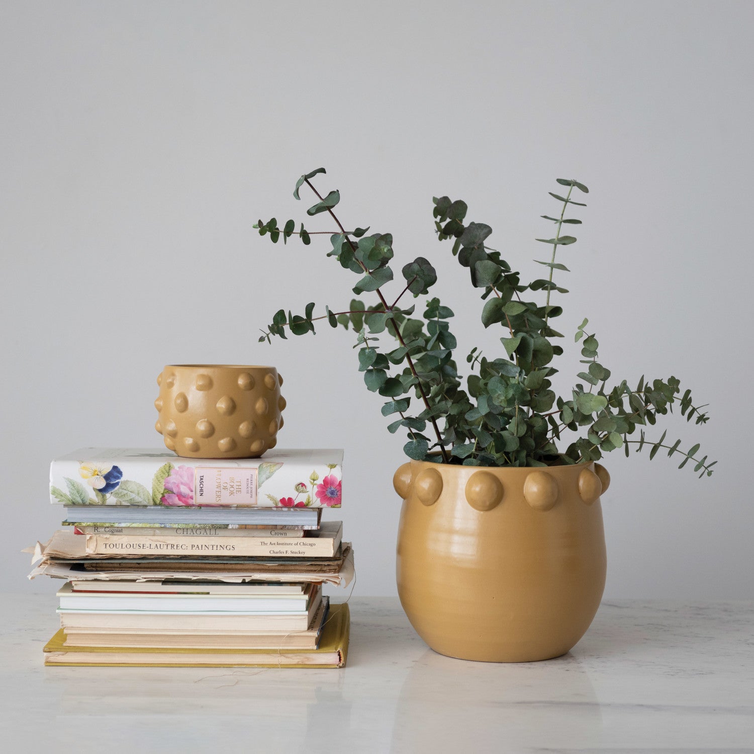 Dijon Dots Terracotta Planter