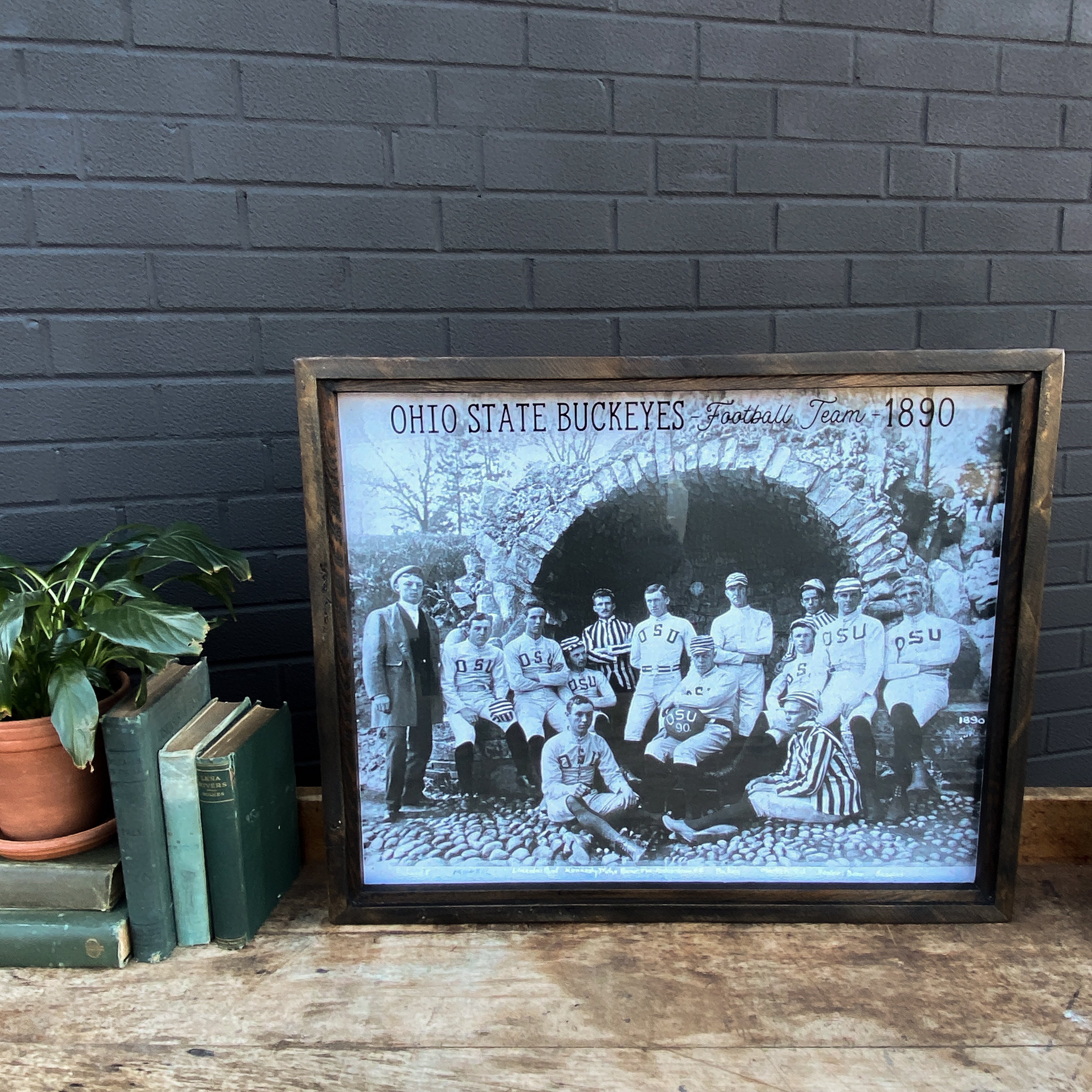 1890 Ohio State Team Framed Art