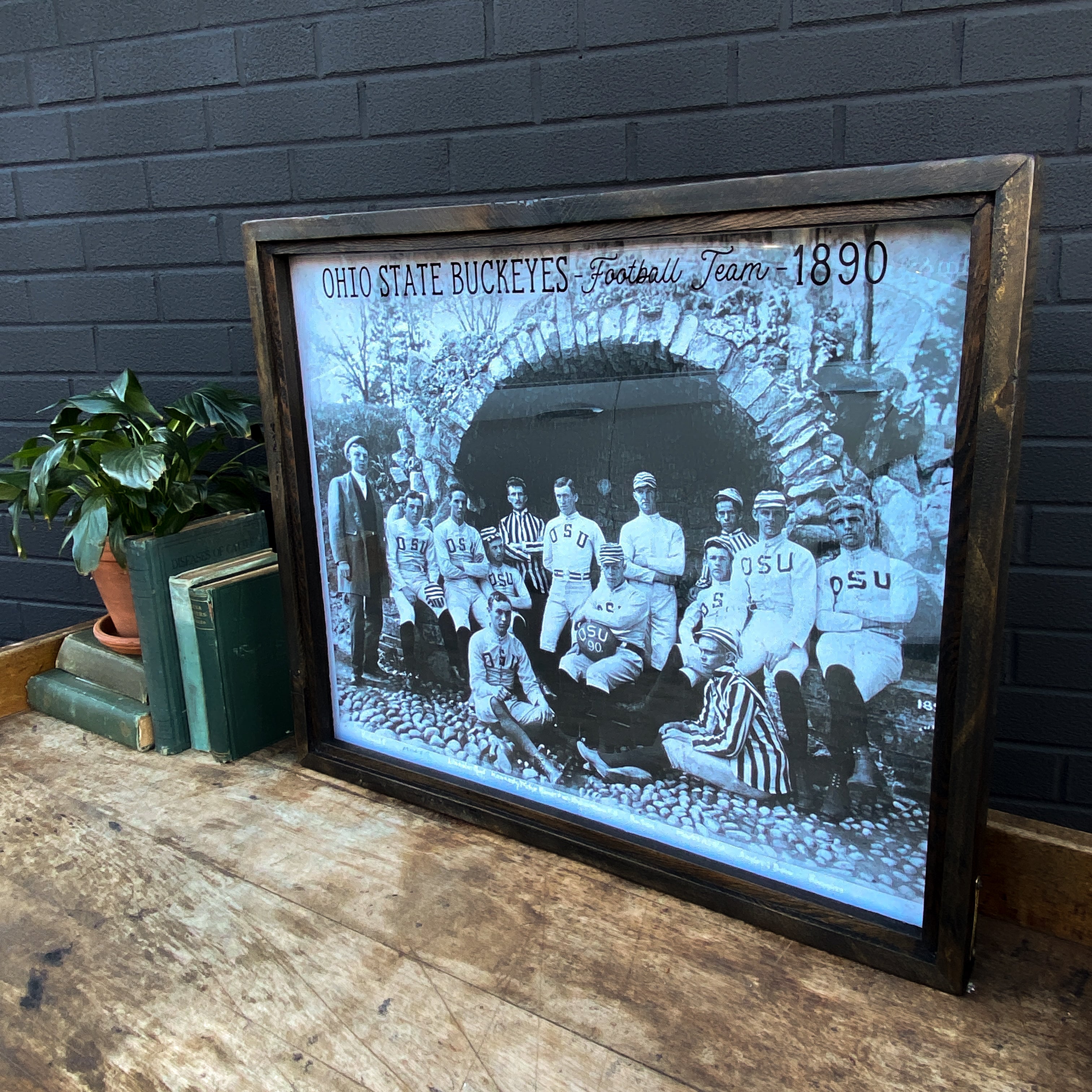 1890 Ohio State Team Framed Art