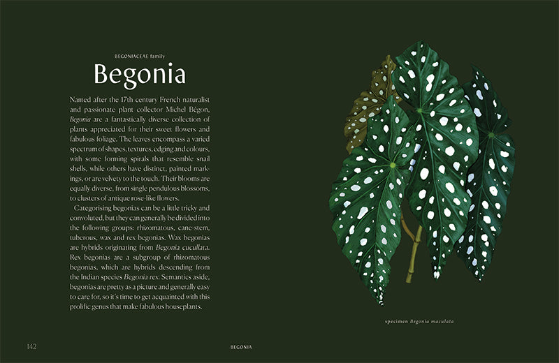 Plantopedia: The Definitive Guide to Houseplants