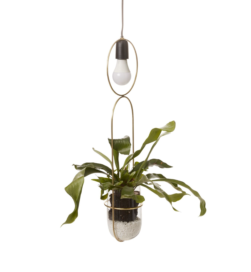 Kol Hanging Planter Light