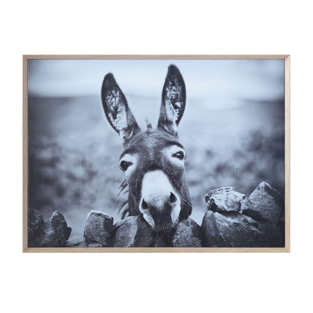 Donkey Framed Canvas Art