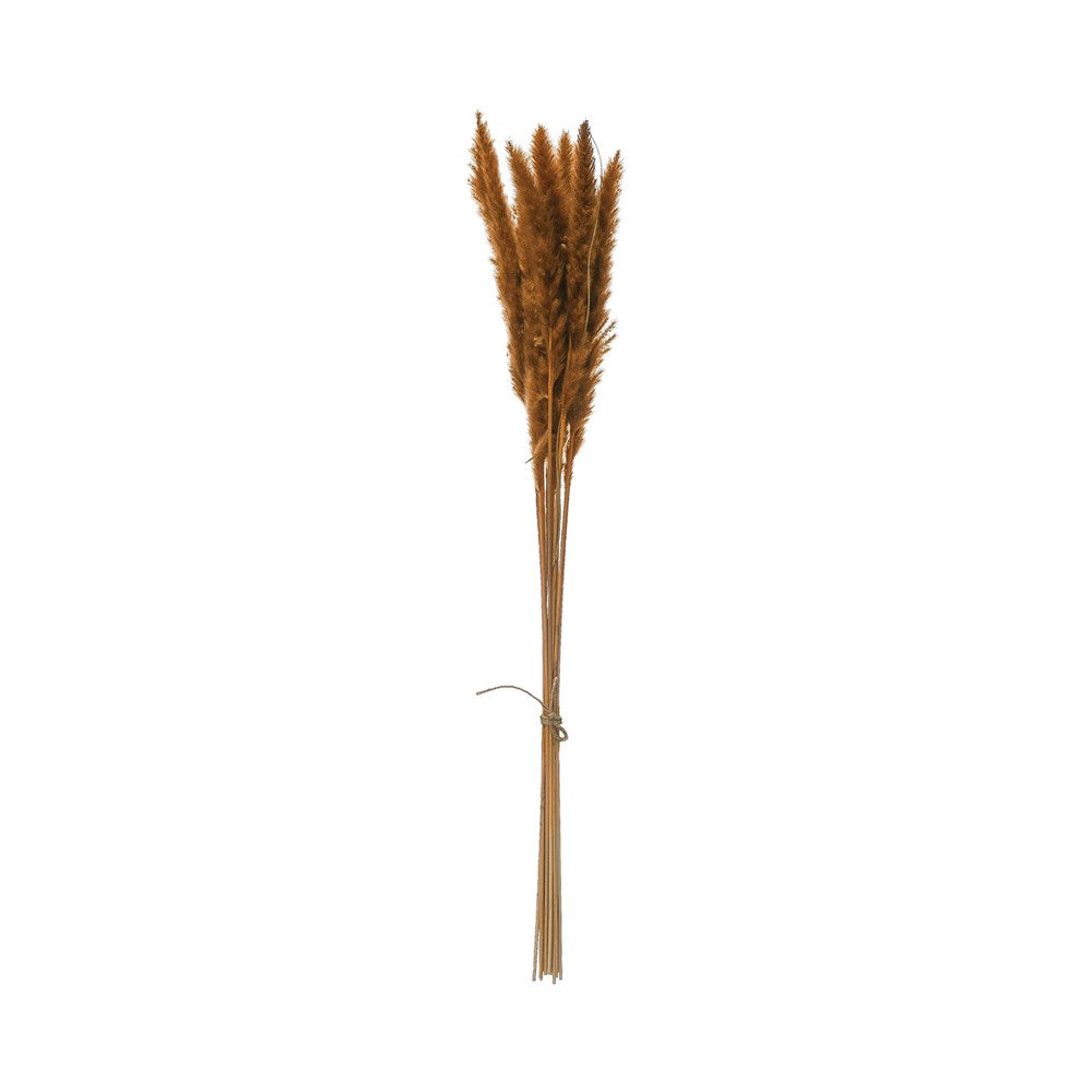 Dried Mustard Pampas Bunch