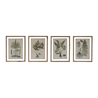 Fern Botanical Framed Art