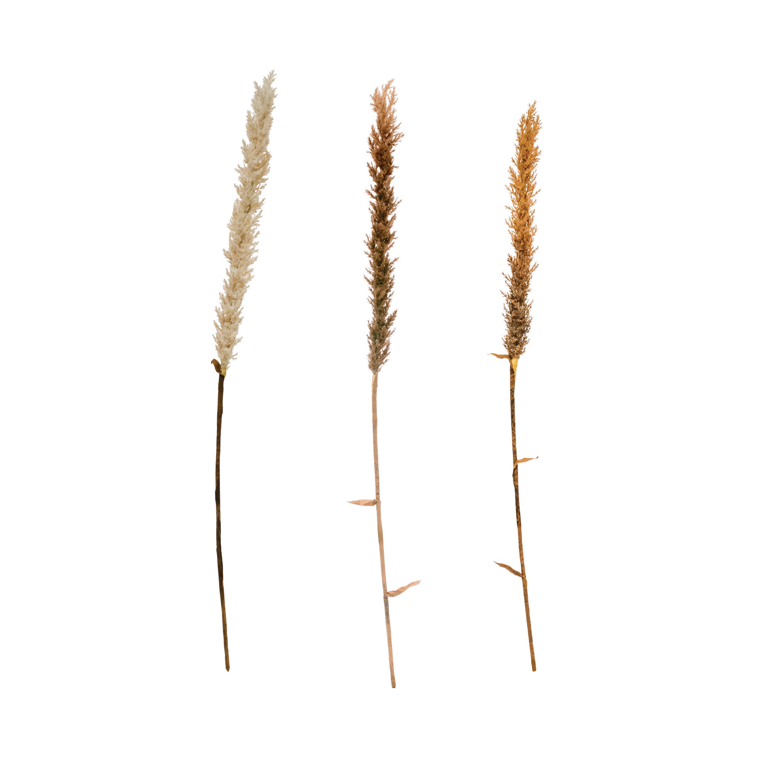 Faux Flocked Grass Plume Assorted Colors