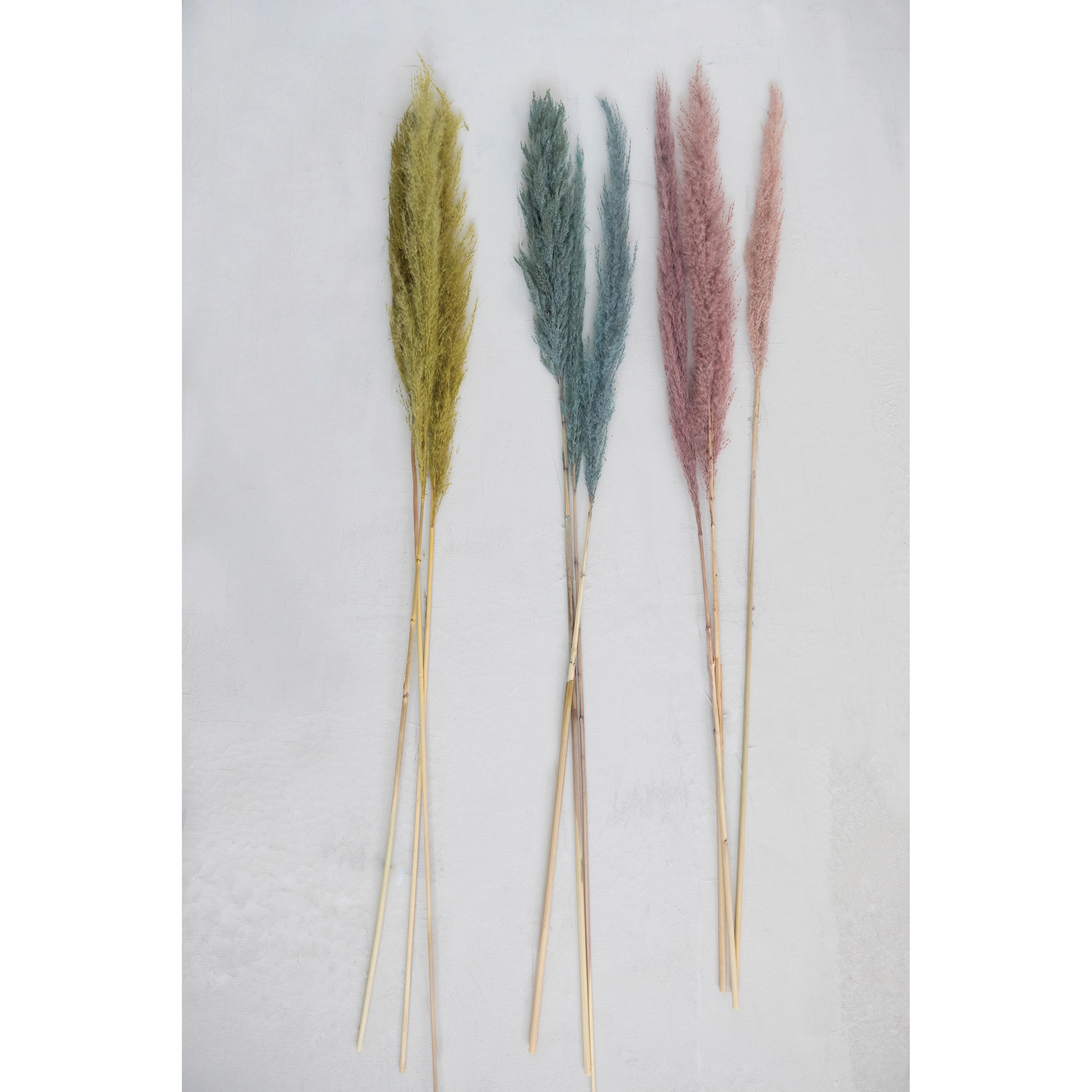 Dried Natural Pampas Grass Bunch