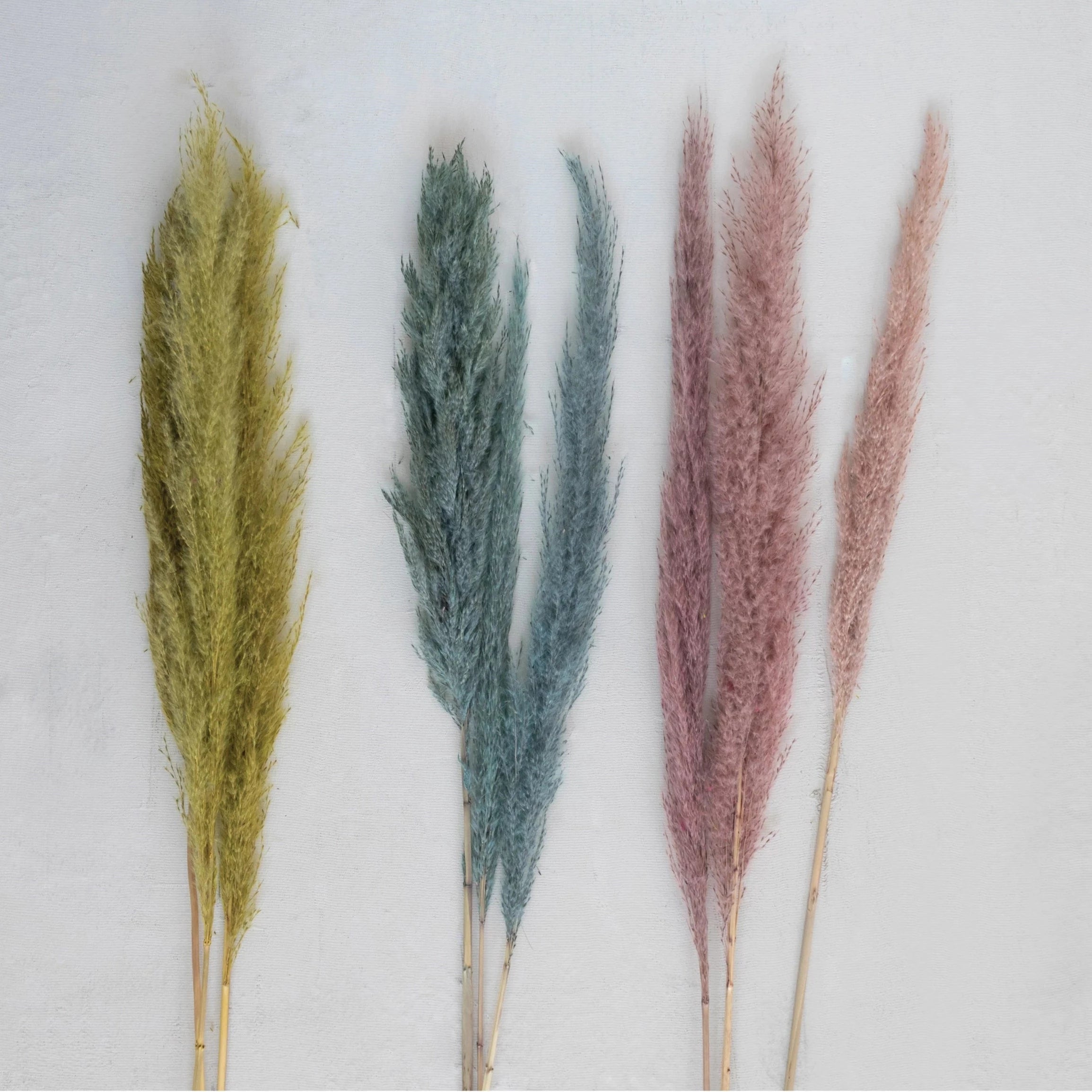 Dried Natural Pampas Grass Bunch