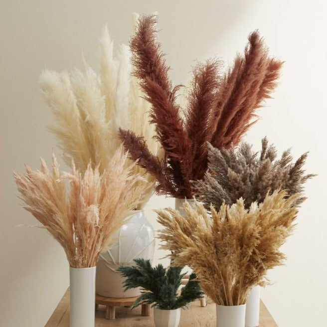Dried Fluffy Pampas Grass - Brown