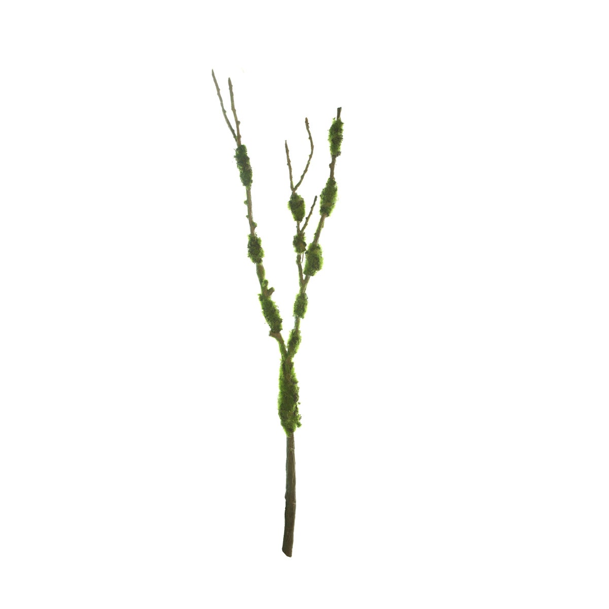 37" Large Moss Branch