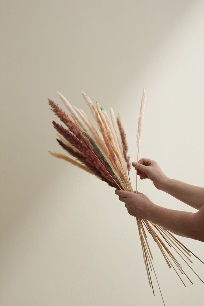 Slim Grey Pampas Stem