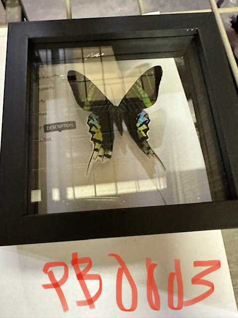 PB0003