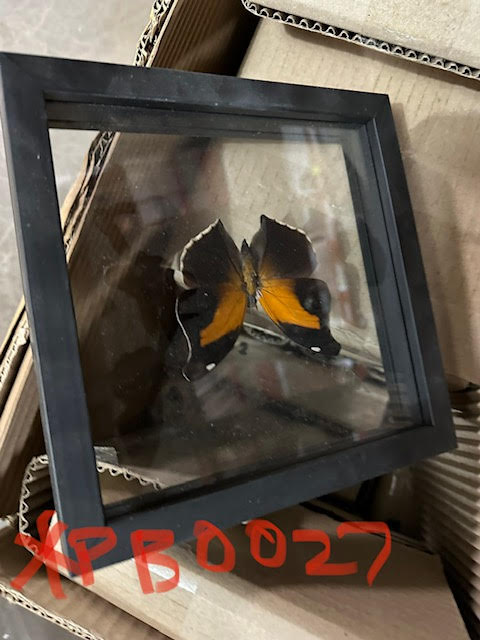 PB0027