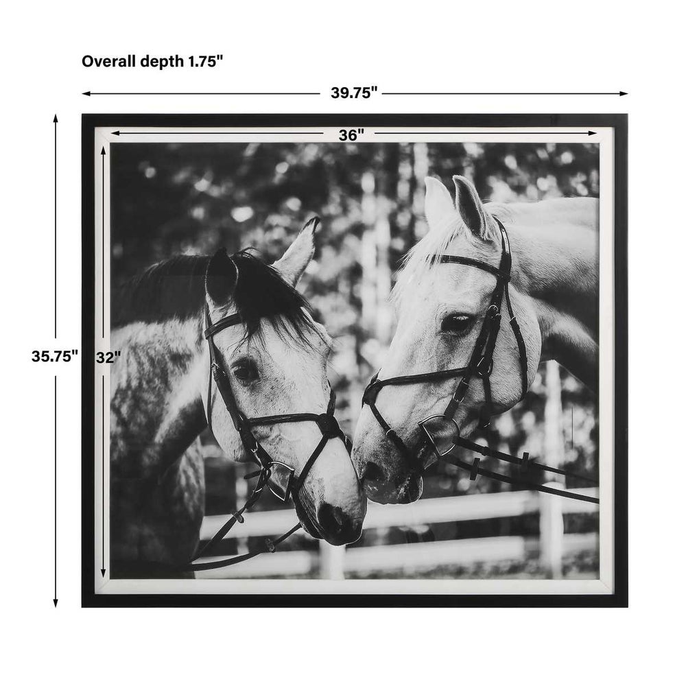 Apple of My Eye Framed Print