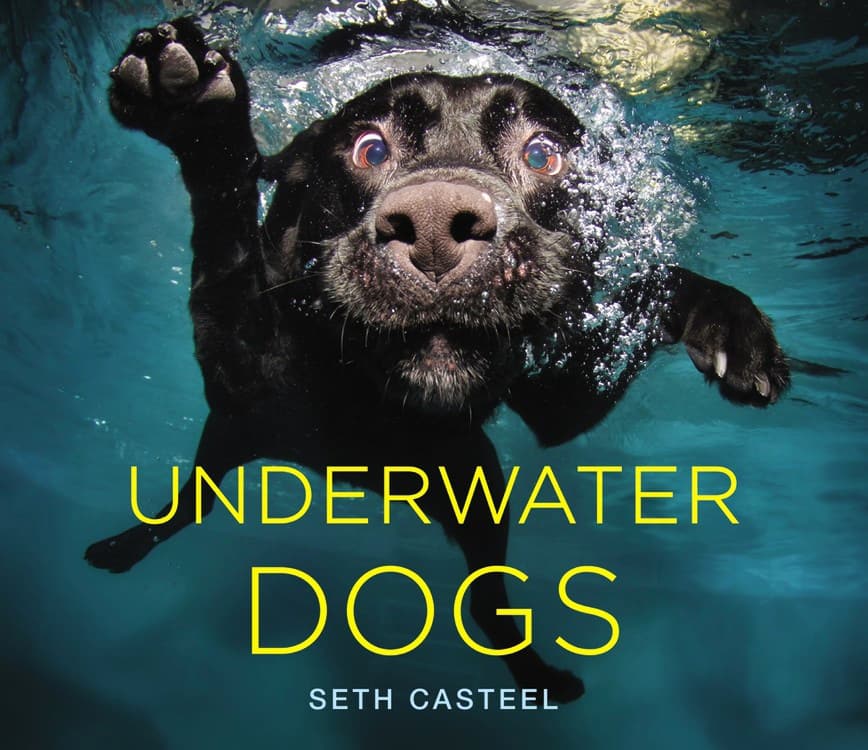 Underwater Dogs