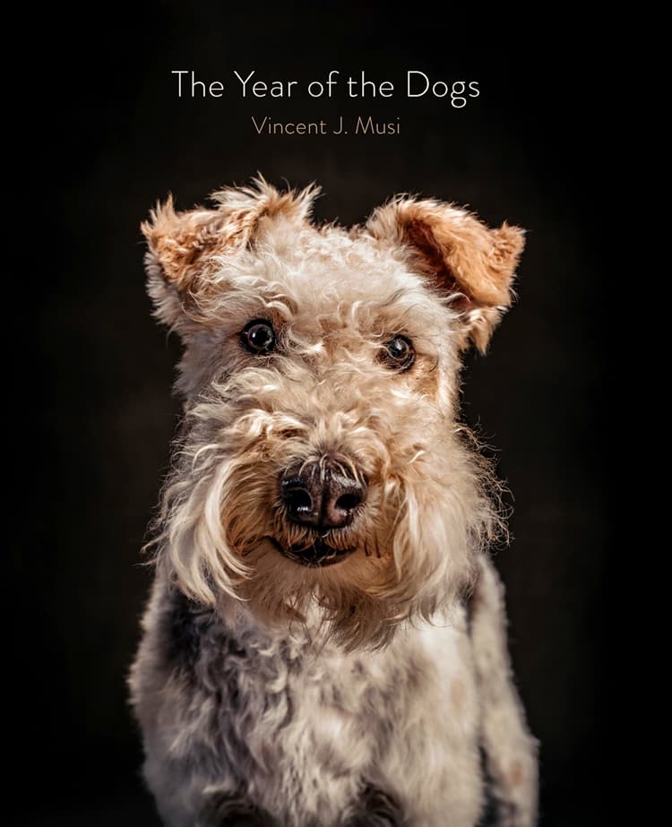 The Year of the Dogs