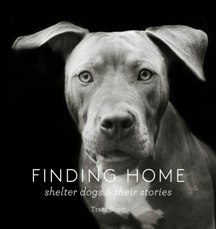 Finding Home: Shelter Dogs & Their Stories