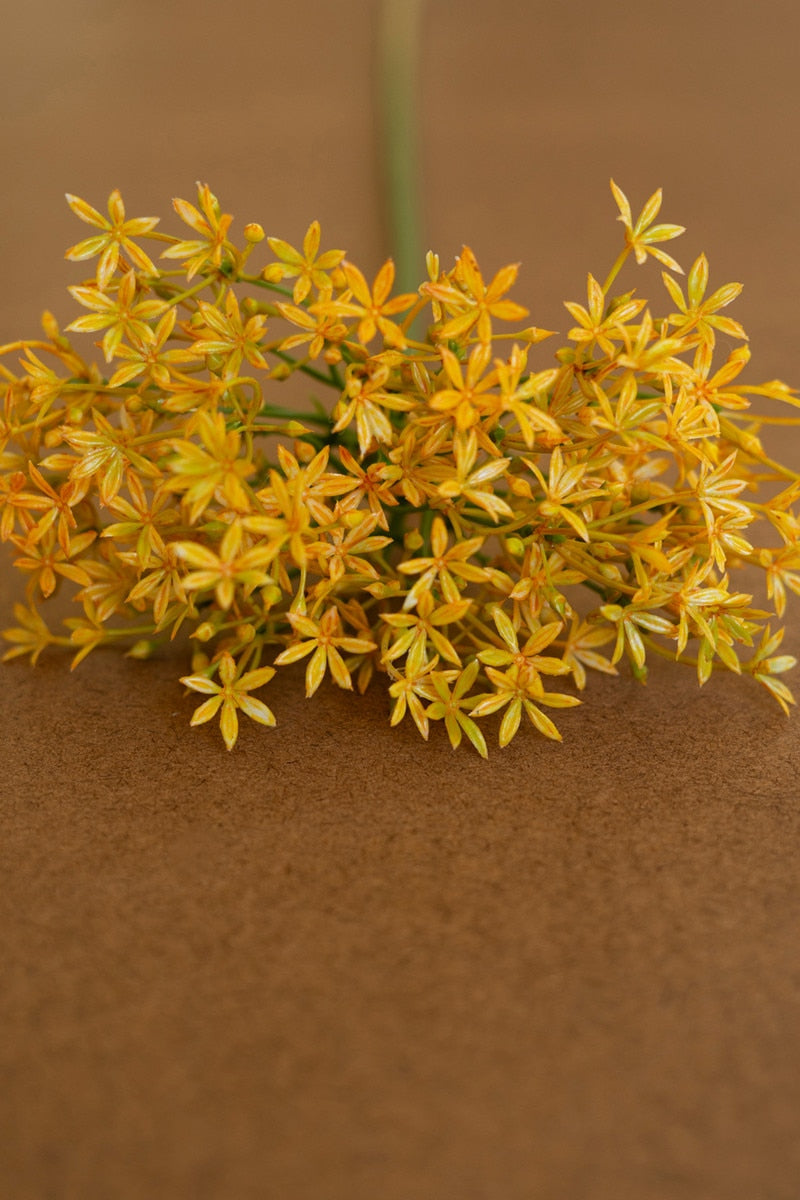 Yellow Scallion Flower