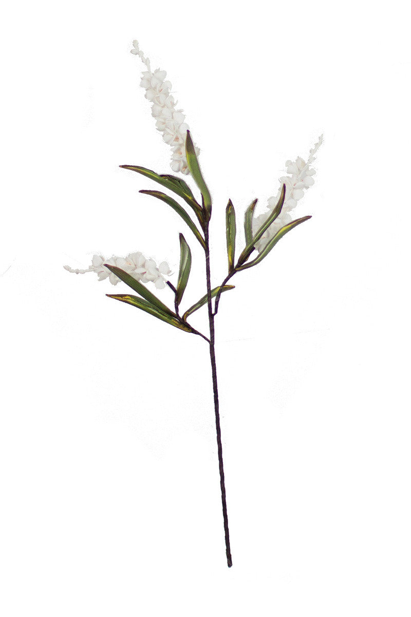 White Chrysanthemum Stem
