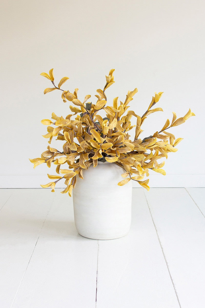 Botanica #3538