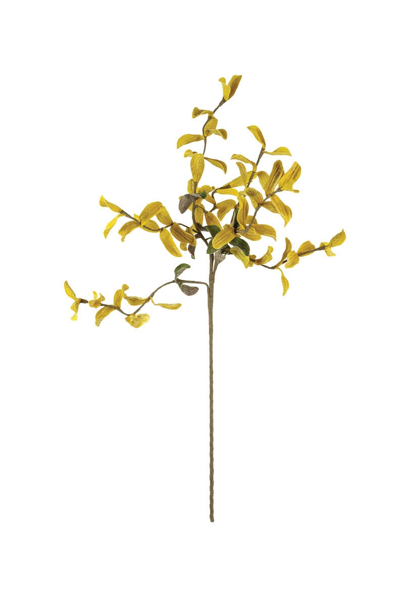 Botanica #3538