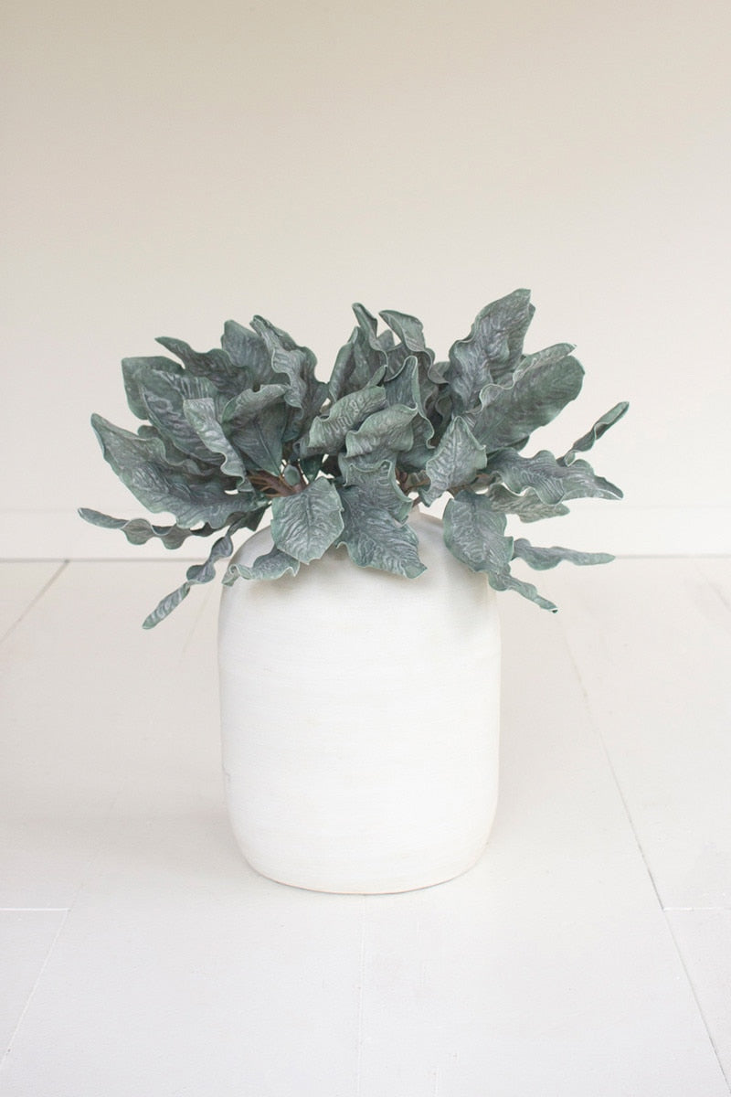 Botanica #3626