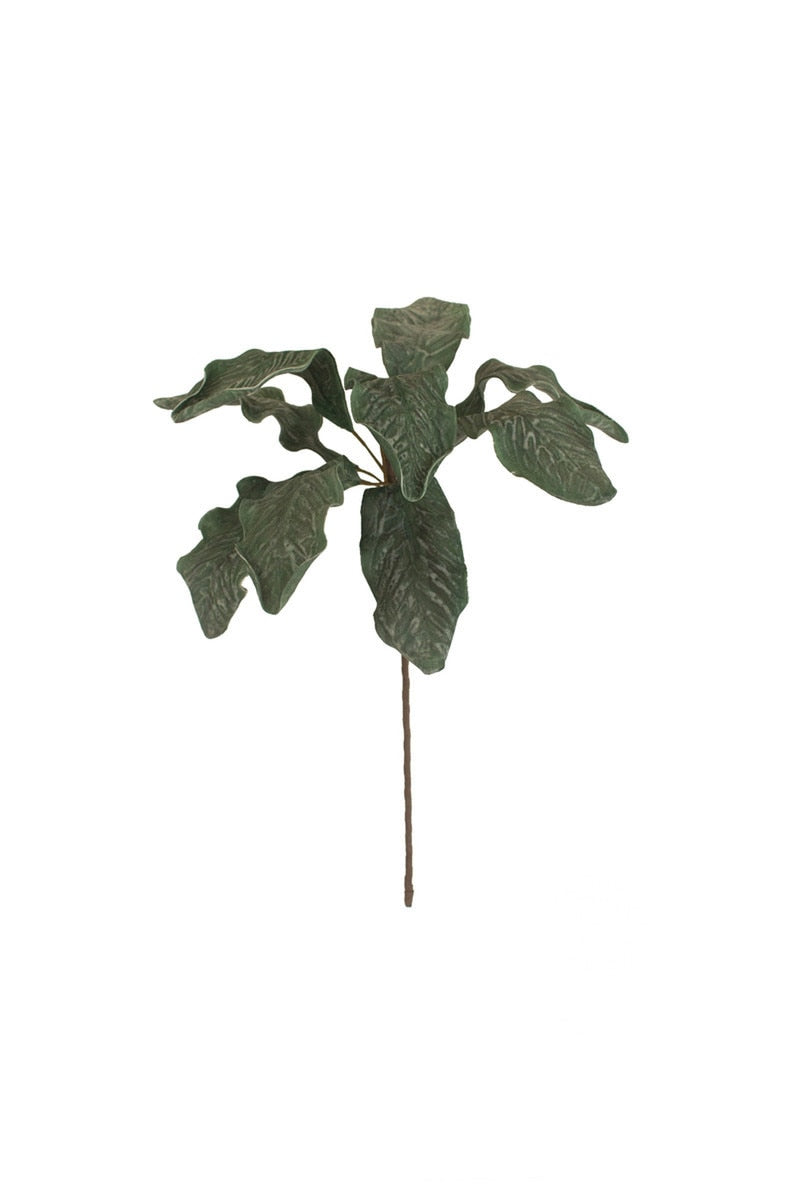 Botanica #3626