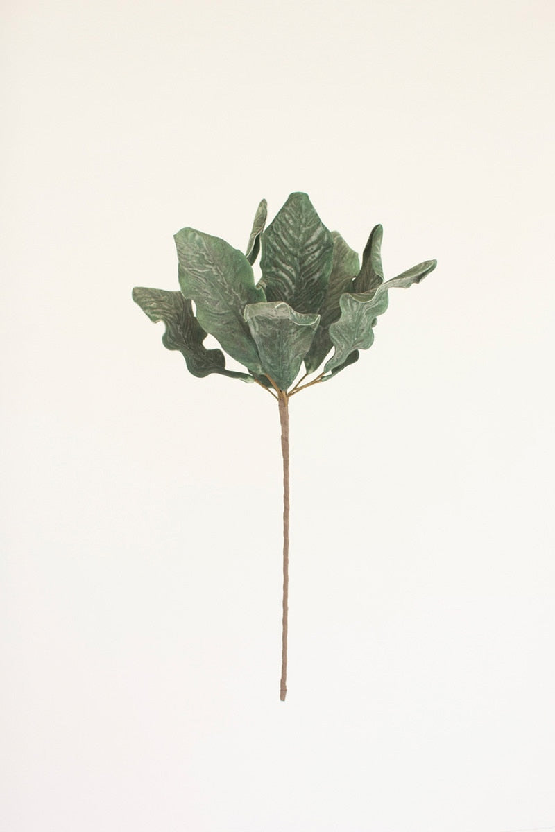 Botanica #3626