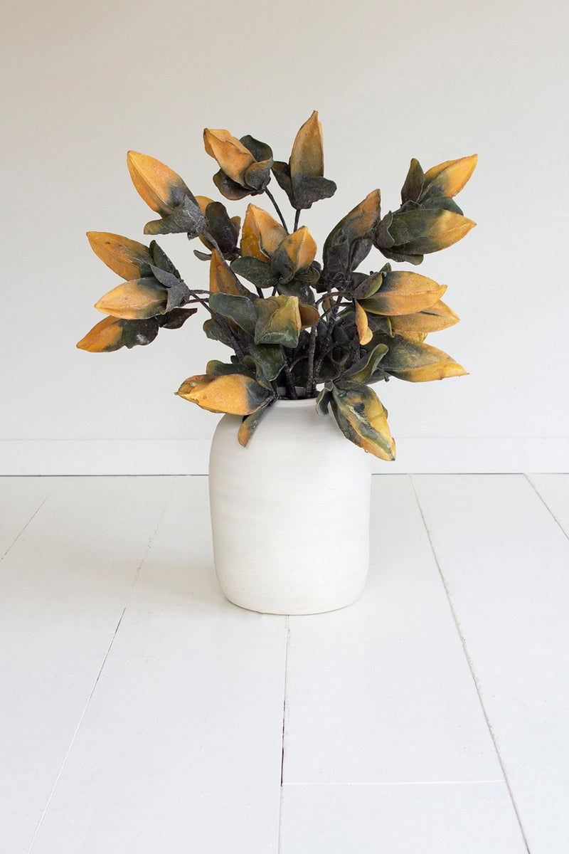 Botanica #2774