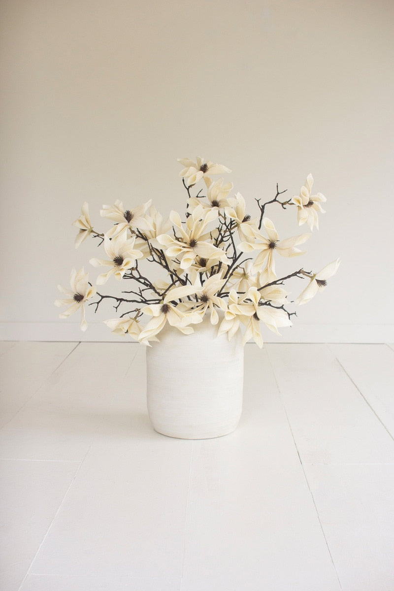 Botanica #2831