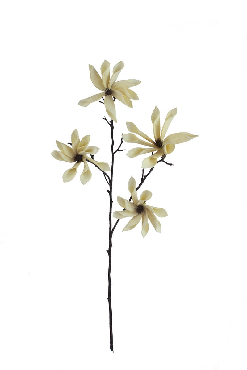 Botanica #2831