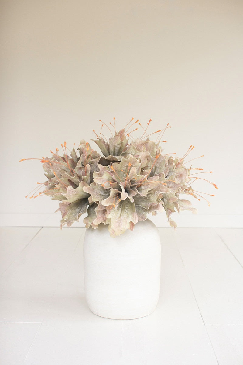 Botanica #2848
