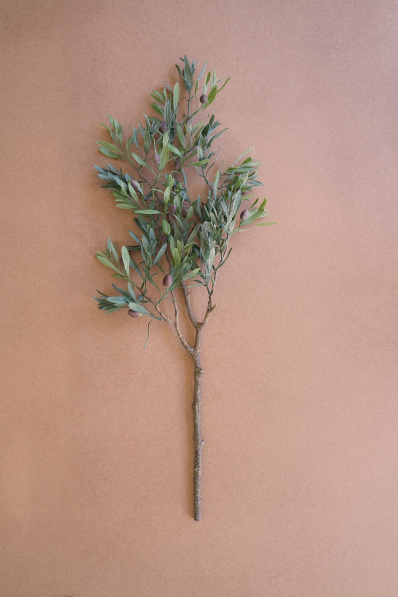 Olive Branch