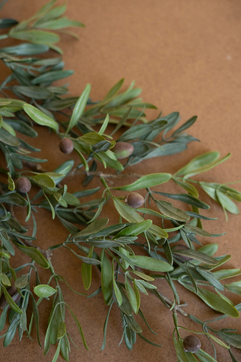 Olive Branch