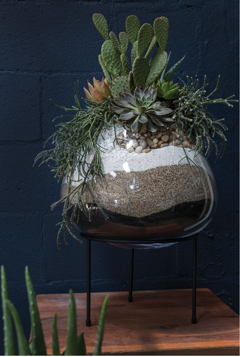 Zadie Terrarium & Stand