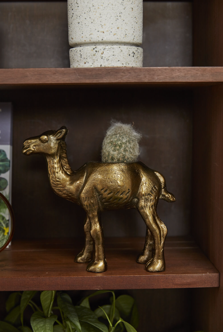 Brass Camel Planter