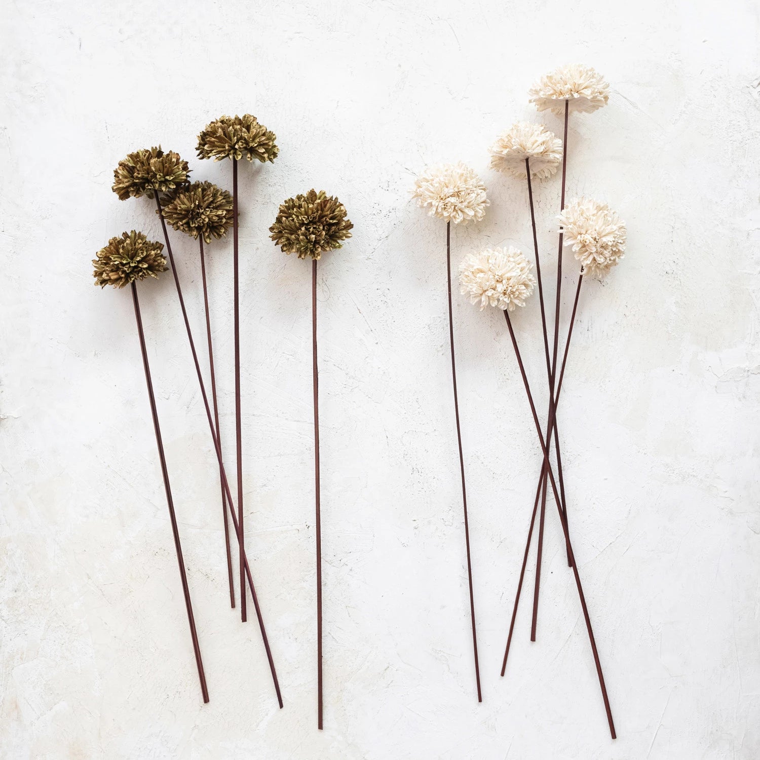 Dried Sesame Flower