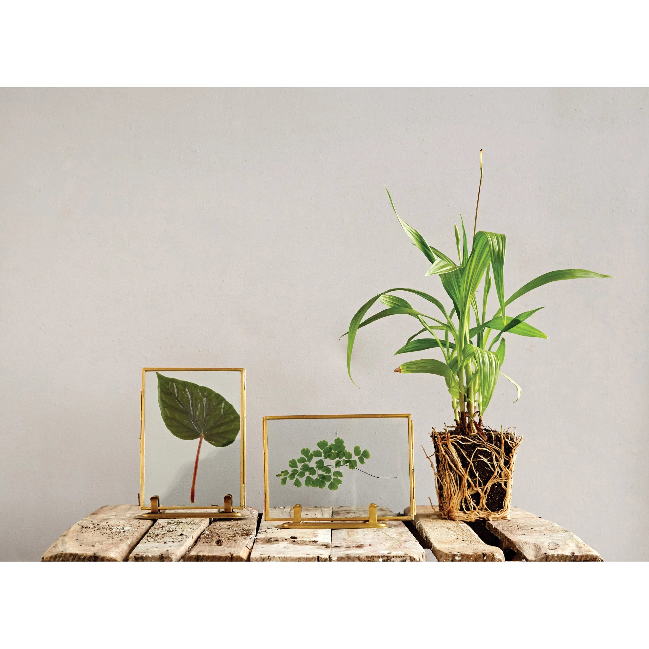 Brass & Glass Standing Frame