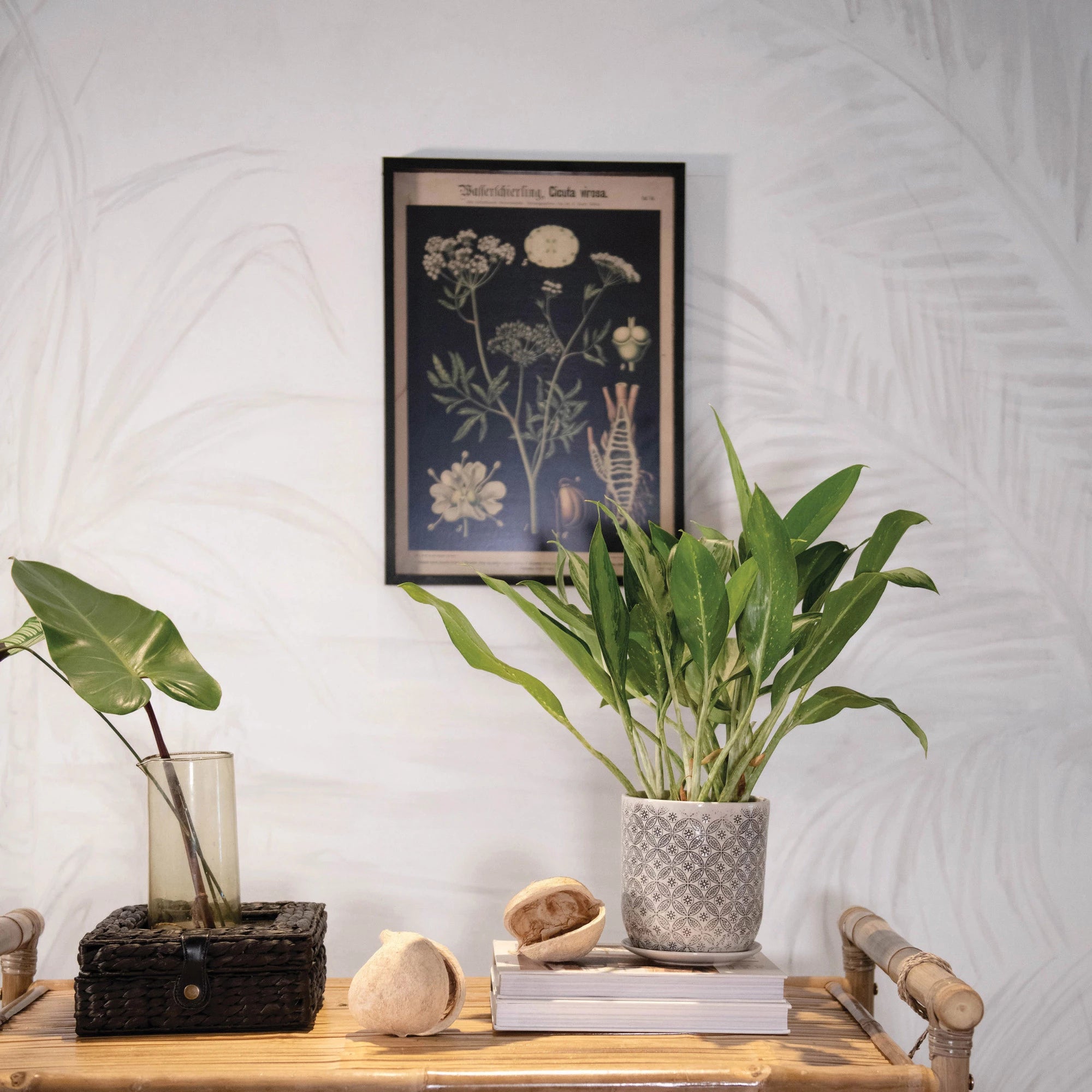Framed Wall Decor with Botanicals