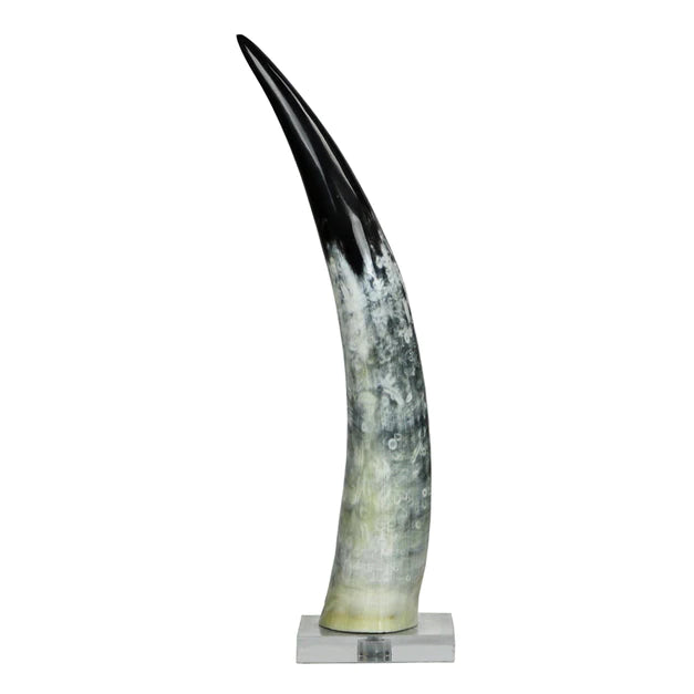 Black & White Cow Horn on Base