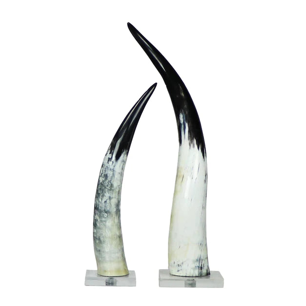 Black & White Cow Horn on Base