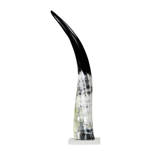 Black & White Cow Horn on Base