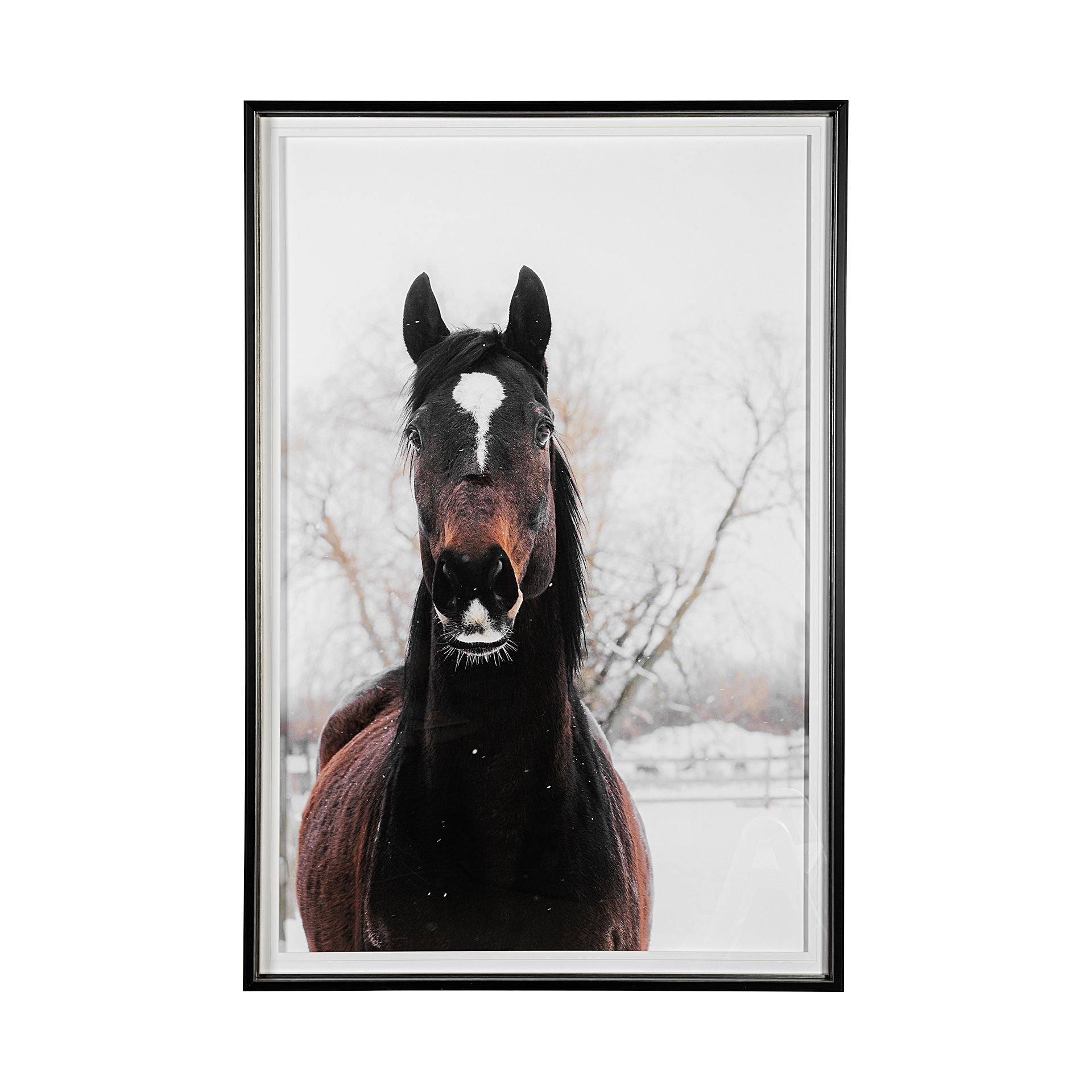 Stable Brown Horse Framed Art