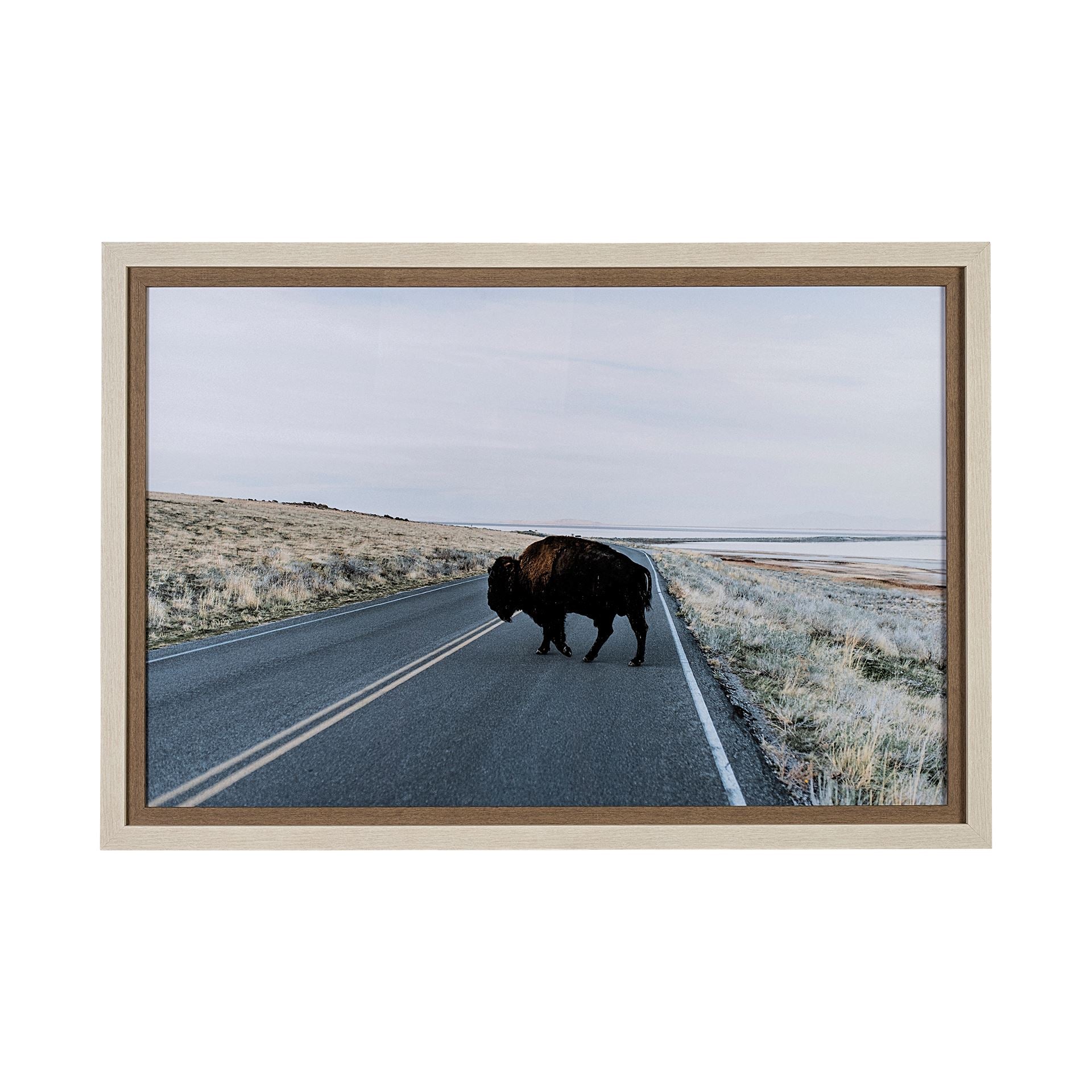 Bison Crossing Framed Art