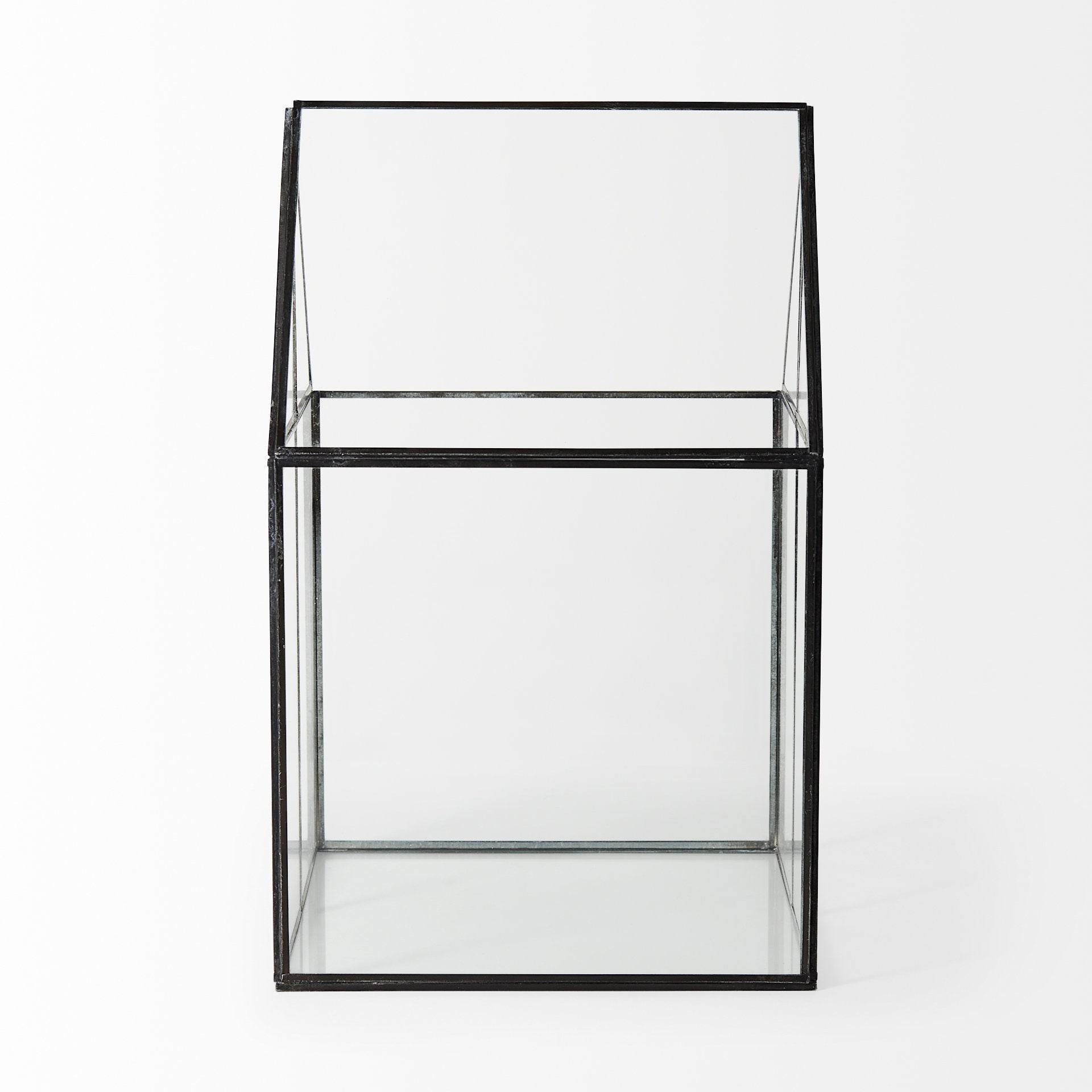 Sikes Glass Terrarium