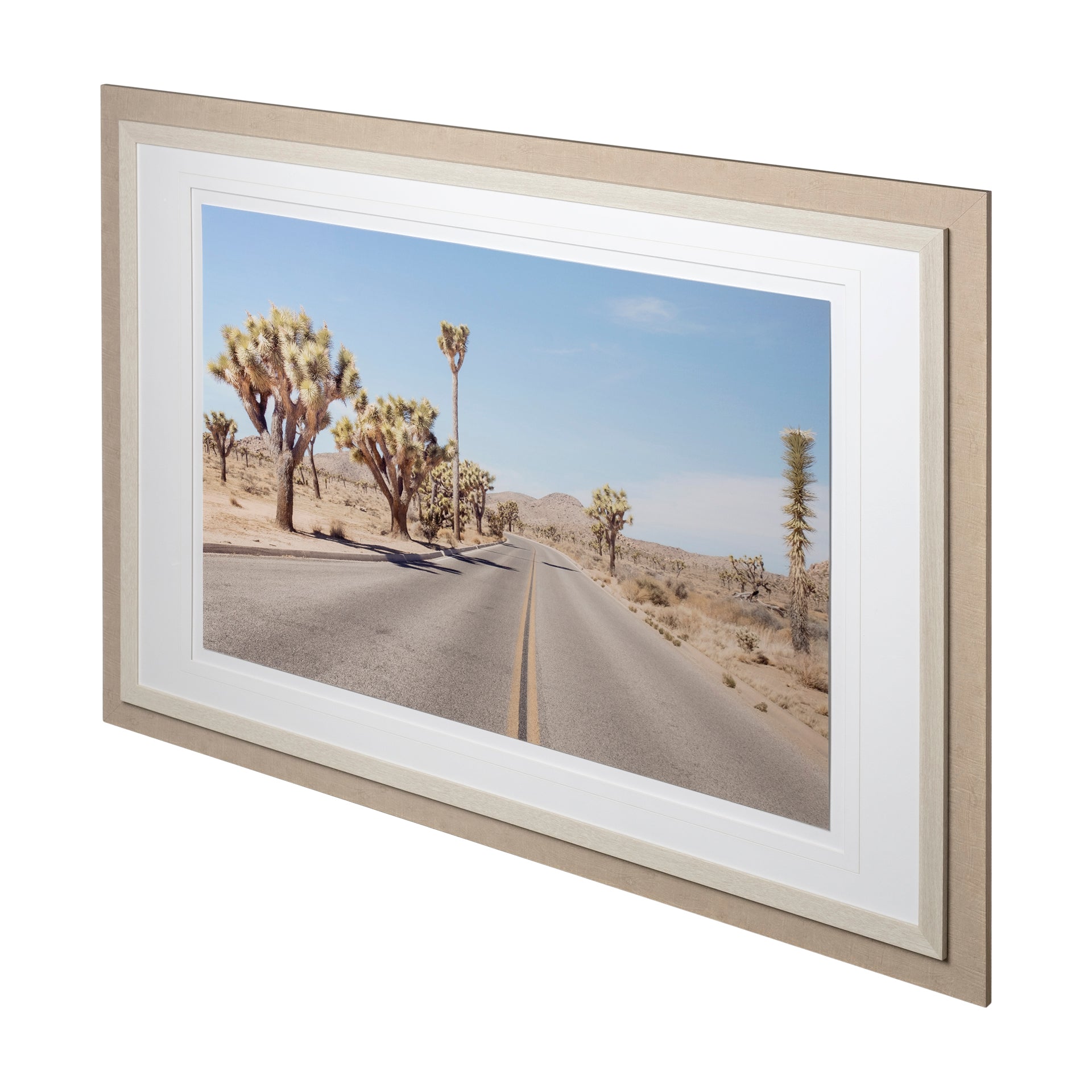 Desert Road Framed Art