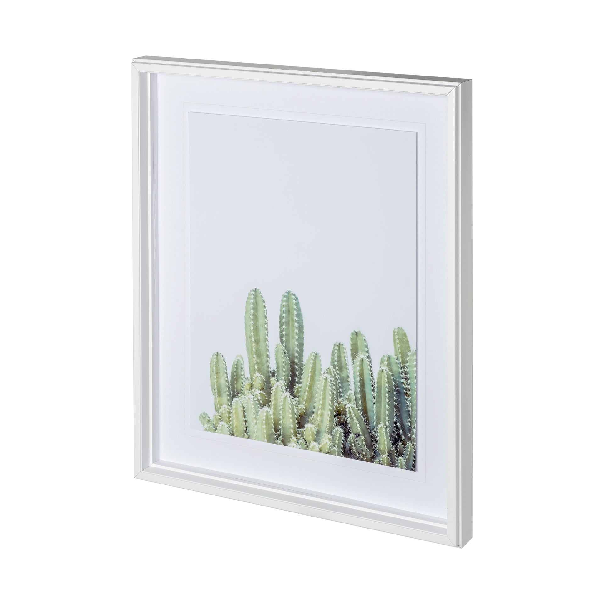 Polvadera Cactus Framed Art