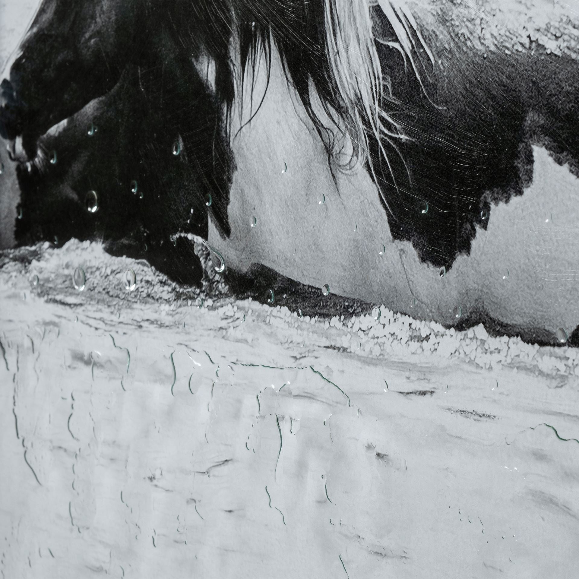 Water Horses Framed Art